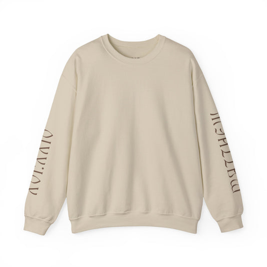 Matthew 16:24 (Matthew XVI:XXIV), Wings Style 1 Sweatshirt, Running Unisex Sweater, Bright Colors, Christian Streetwear