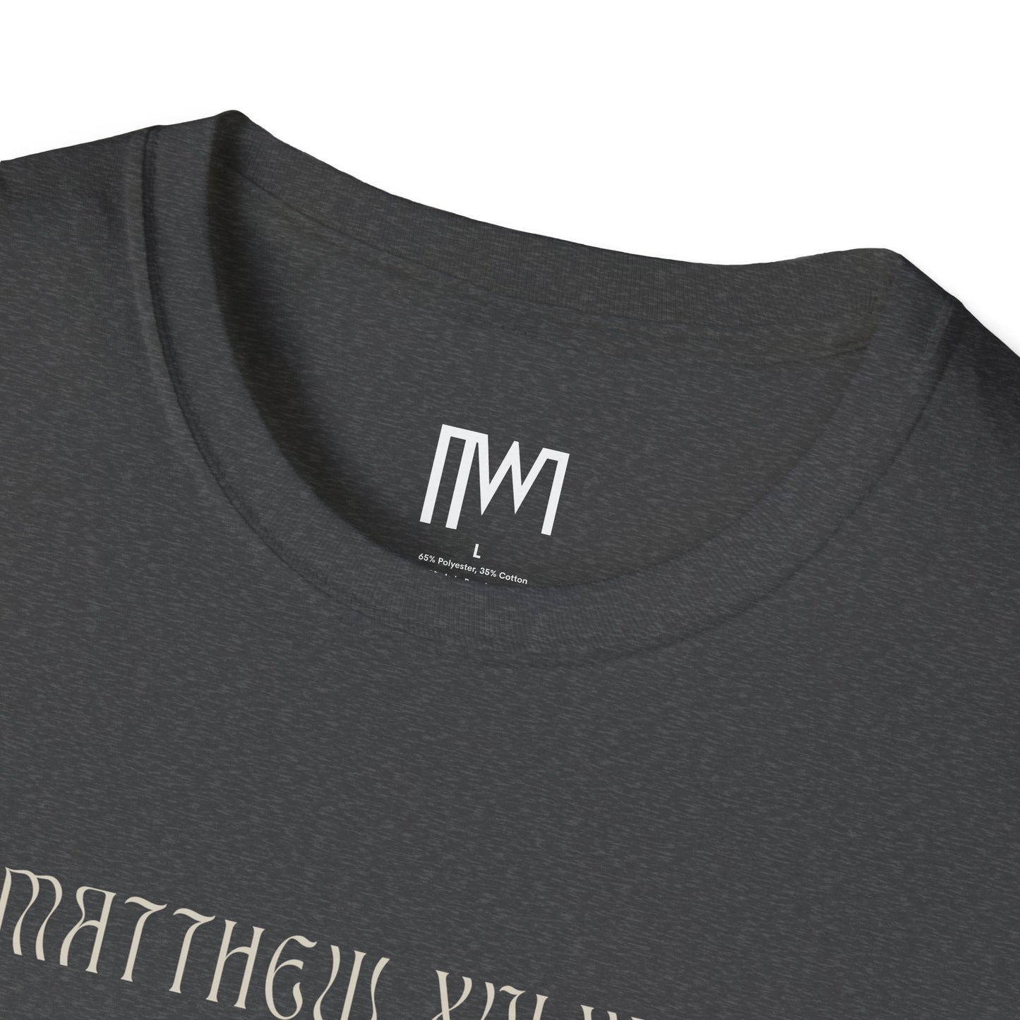 Matthew 16:24 (Matthew XVI:XXIV), Running Backed T-Shirt, Unisex Softstyle, Multiple Dark Colors, Christian Apparels