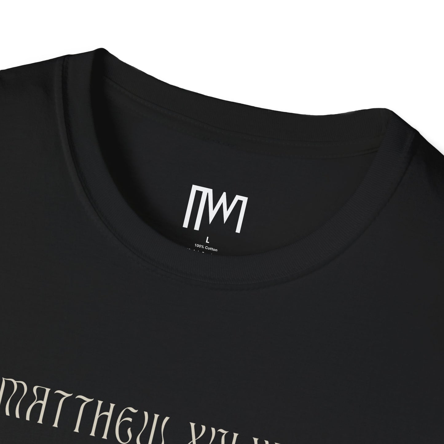 Matthew 16:24 (Matthew XVI:XXIV), Running Backed T-Shirt, Unisex Softstyle, Multiple Dark Colors, Christian Apparels