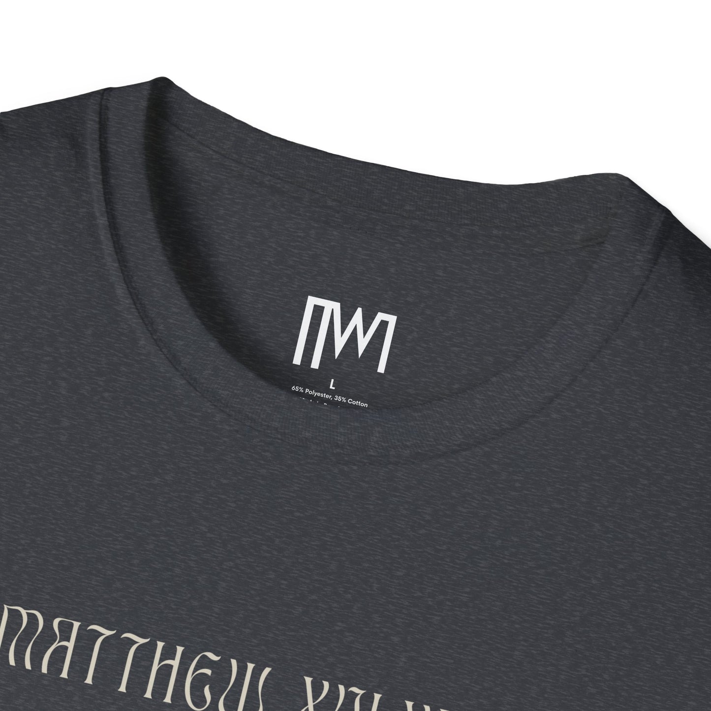 Matthew 16:24 (Matthew XVI:XXIV), Running Backed T-Shirt, Unisex Softstyle, Multiple Dark Colors, Christian Apparels