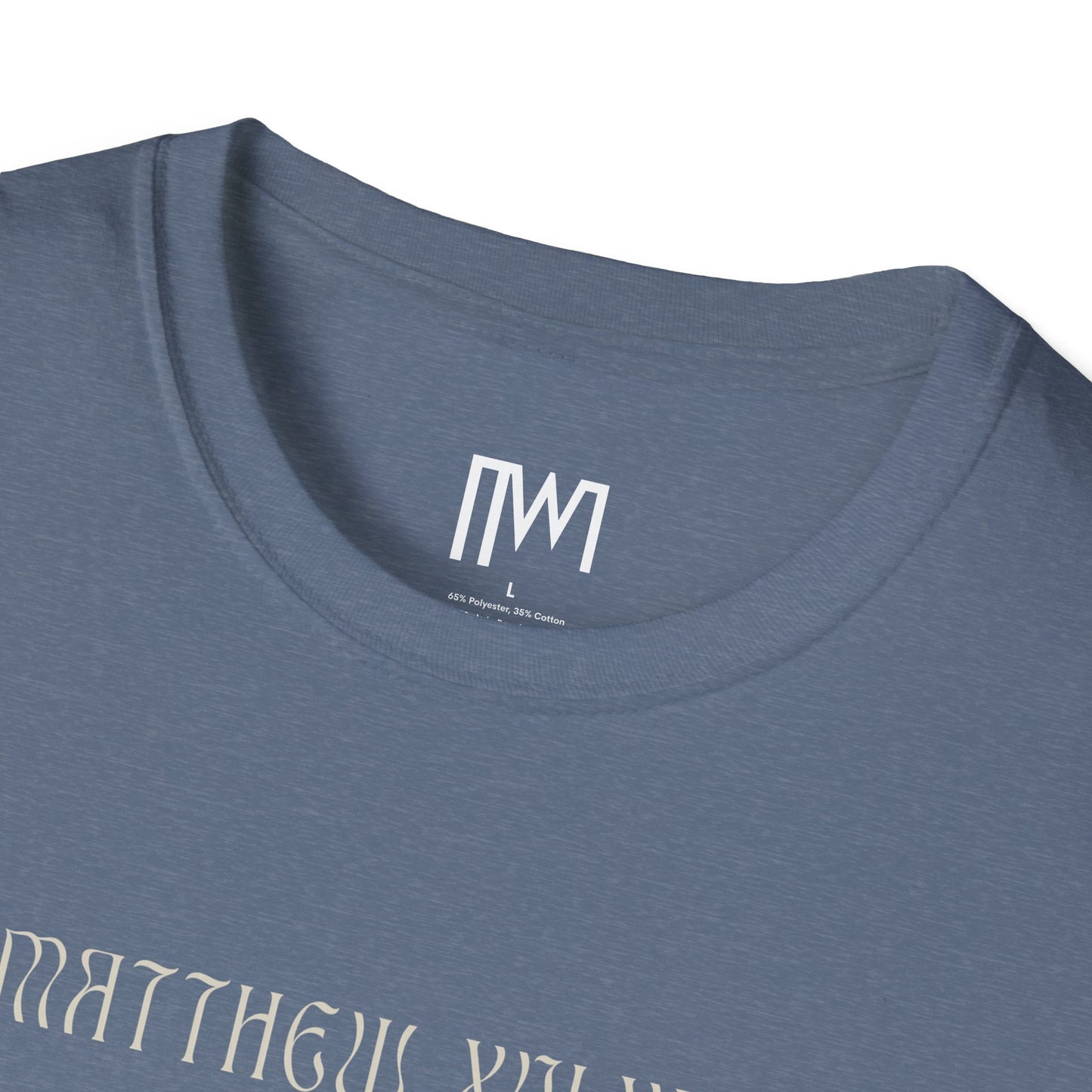 Matthew 16:24 (Matthew XVI:XXIV), Running Backed T-Shirt, Unisex Softstyle, Multiple Dark Colors, Christian Apparels