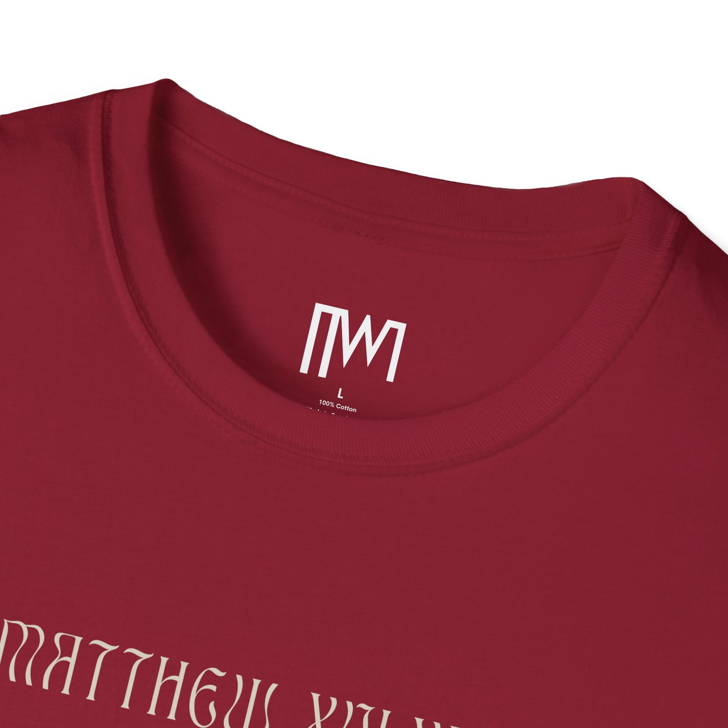Matthew 16:24 (Matthew XVI:XXIV), Running Backed T-Shirt, Unisex Softstyle, Multiple Dark Colors, Christian Apparels